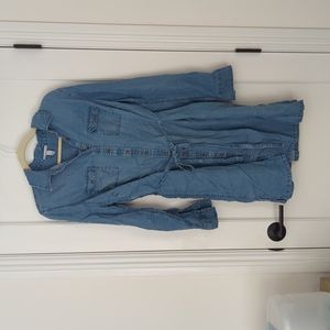 Maternity chambray shirt dress